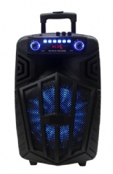Series Speaker