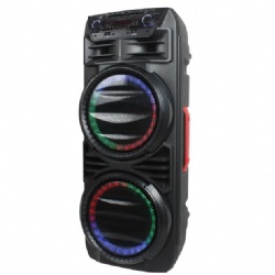 Party Speaker