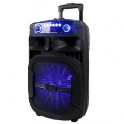 Party Speaker
