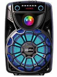 Party Speaker