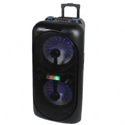 Party Speaker