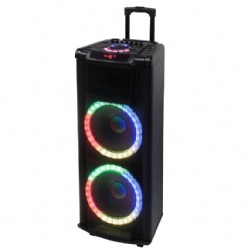 Party Speaker