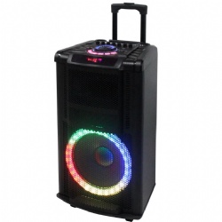 Party Speaker